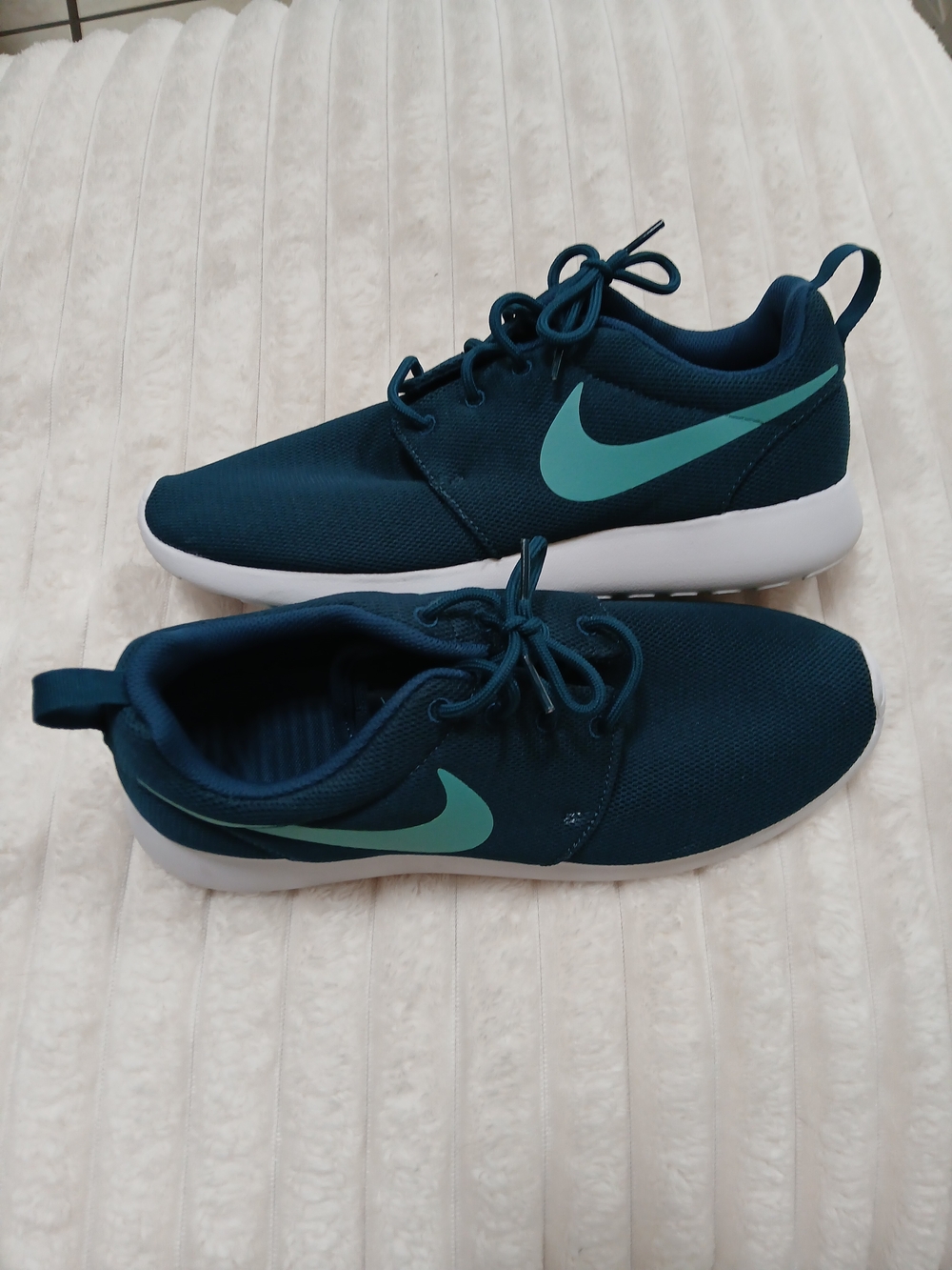 Nike Women’s Teal and Mint Running Shoes